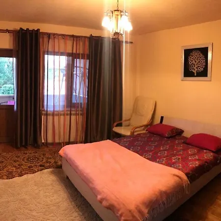 Vila Alex Constanţa